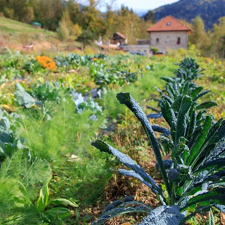 Fattoria Ortoalpino Séjour à la ferme