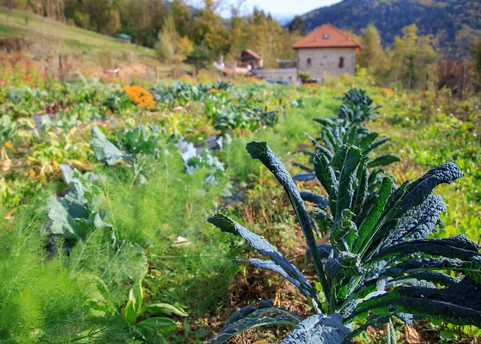 Fattoria Ortoalpino Farm stay