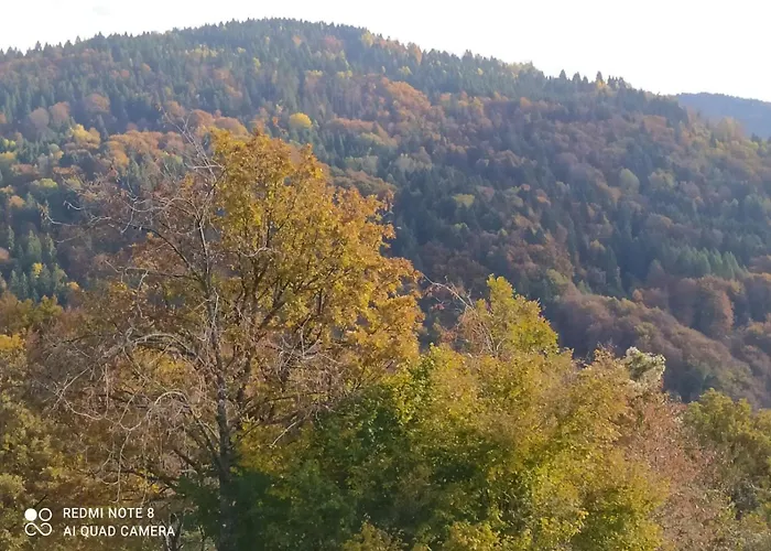 Fattoria Ortoalpino Farm stay Trichiana