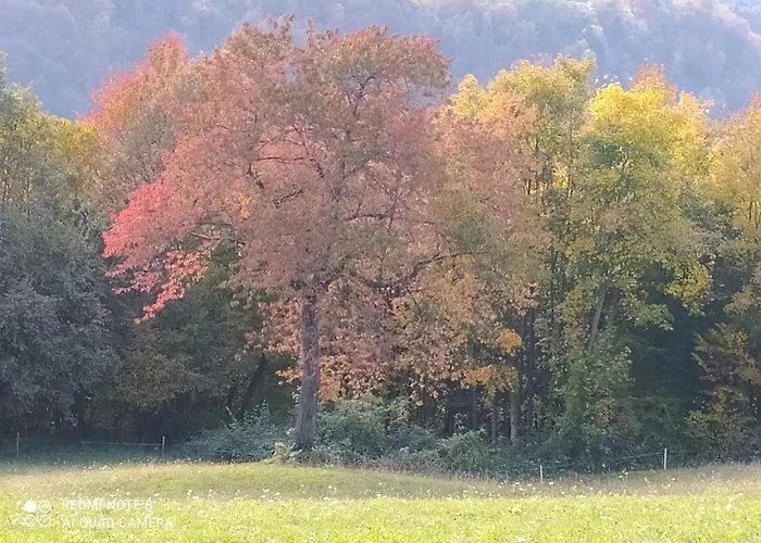 Fattoria Ortoalpino Trichiana