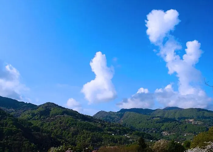 Fattoria Ortoalpino * Trichiana