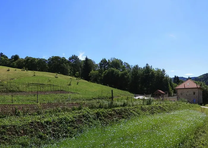Farm stay Fattoria Ortoalpino Trichiana